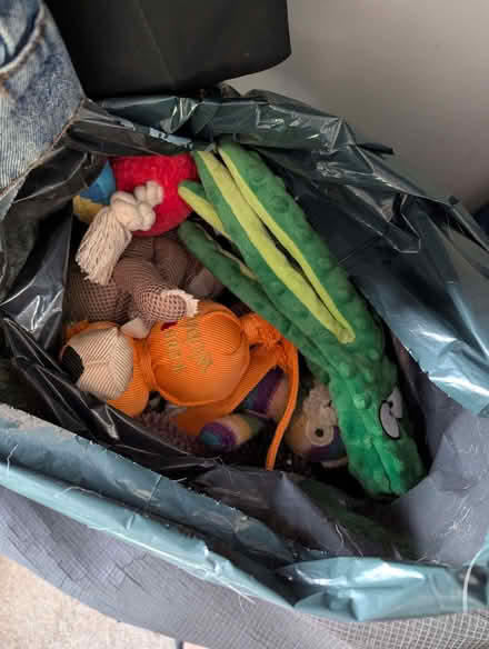 Photo of free Bag assorted dog toys (Headington OX3) #2