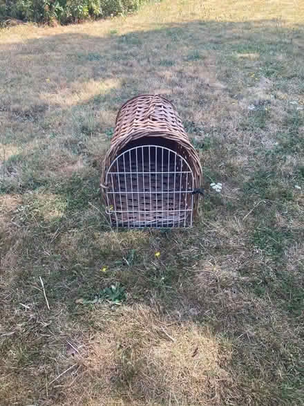 Photo of free Wicker pet carrier for cat, small dog or rabbit (Brookman's Park AL9) #1
