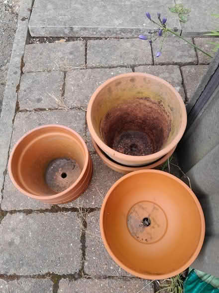 Photo of free Terracotta pots & saucers (Widdrington, Morpeth NE61) #2