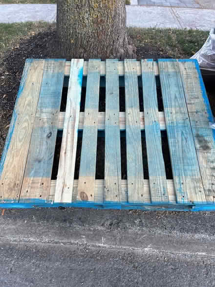 Photo of free wood pallet (Markham) #1