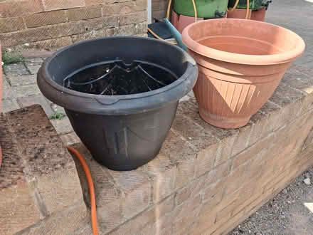 Photo of free 3 large plastic plant pots (Dursley GL11) #2