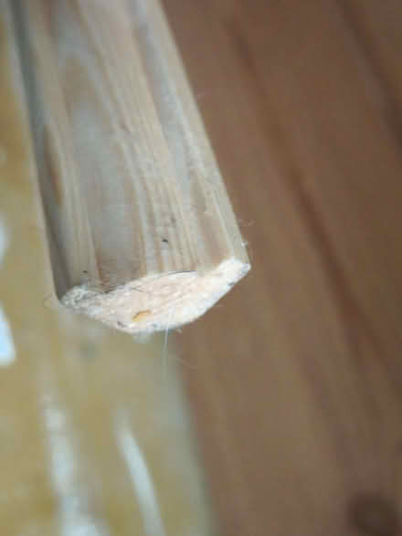 Photo of free Pine moulding (Rushmere IP4) #2