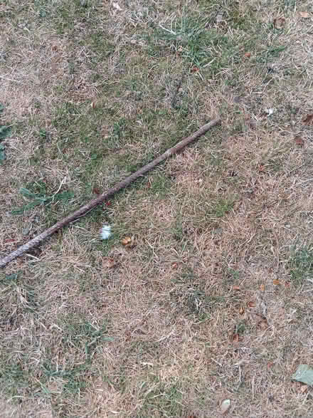 Photo of free Metal pole (Chippenham SN15) #2