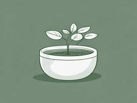 Photo of Shallow or bonsai plant pots (Sefton L31) #1
