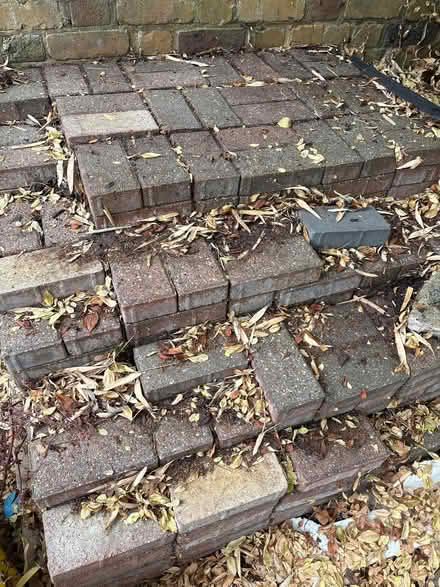 Photo of free Paving Bricks around 300 (Sutton SM2) #1