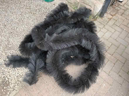Photo of free Hedgehog Gutter Brush (DE45) #1