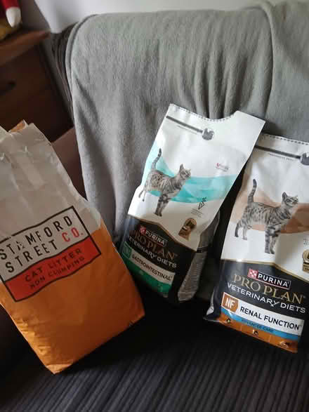 Photo of free Cat stuff (Southwoodham farerris) #1