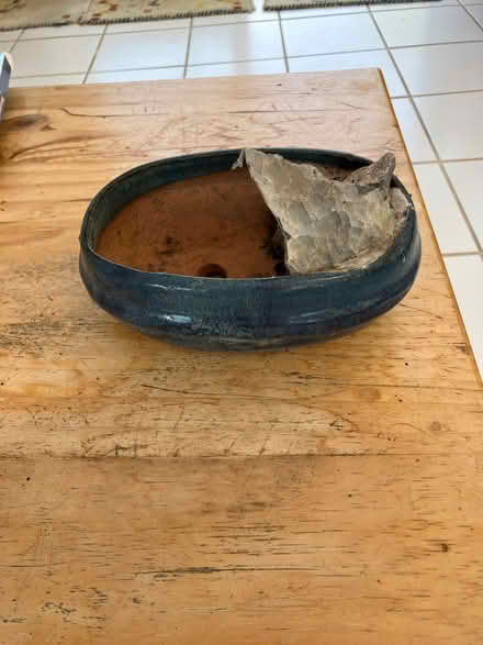 Photo of free Bonsai pot (Hailsham BN27) #1