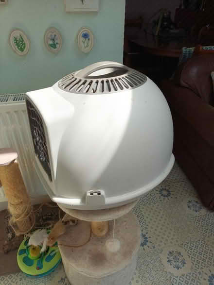 Photo of free Igloo Cat Carrier/Litter Box (City of Bristol BS16) #2