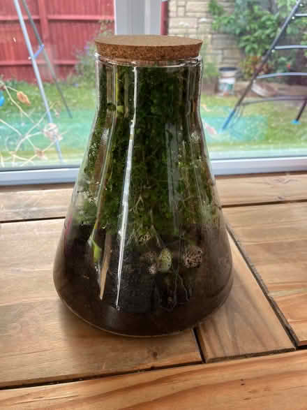 Photo of free Terrarium (Gogarloch EH12) #2