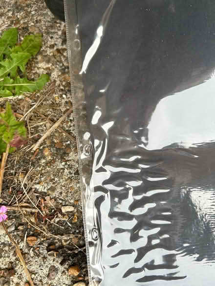 Photo of free Size A1 plastic flat bags for storing art work (Castleham TN37) #1
