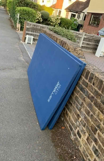 Photo of free Gym mat (Mottingham SE9) #1