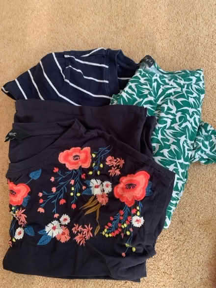 Photo of free Ladies tops - size 12-14 (Pirbright GU24) #1