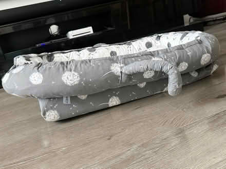 Photo of free Baby sleep nest (Hounslow west TW4) #2