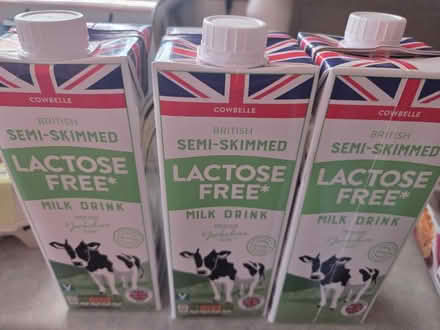 Photo of free 3 x Lactose Free Milk (LA1 Vale) #1