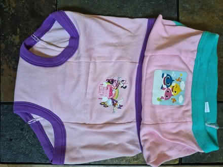 Photo of free 3T/4T knickers/panties (Lents/Mt.Scott area) #1
