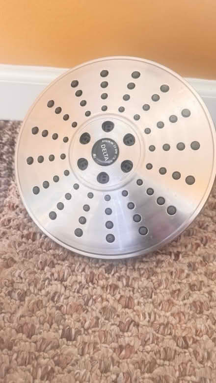 Photo of free Delta Shower Head (Ypsilanti Township) #1