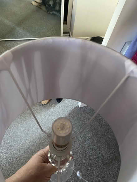 Photo of free Table lamp (High Ercall TF6) #4