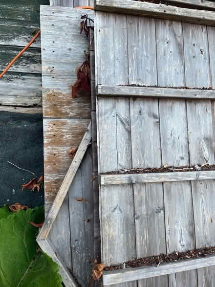 Photo of free 6 x 4 shed dismantled (Bampton OX18) #2