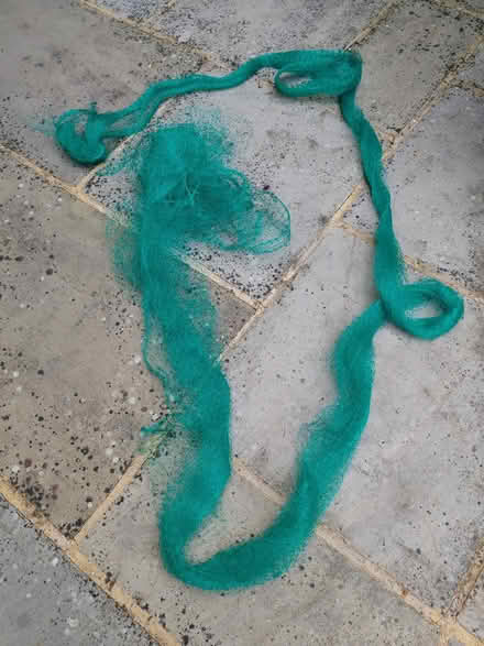 Photo of free Garden netting (Hamstreet TN26) #1