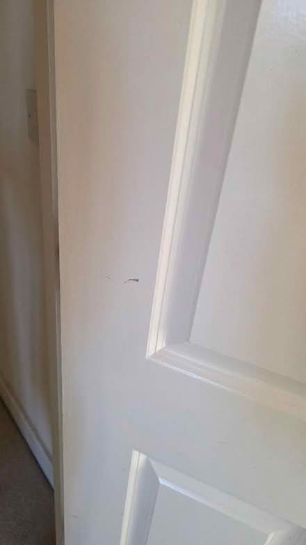 Photo of free Internal white door (Broughton MK10) #4