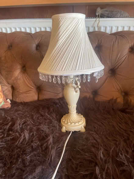 Photo of free Lamp (Sweeny Mountain SY10) #1