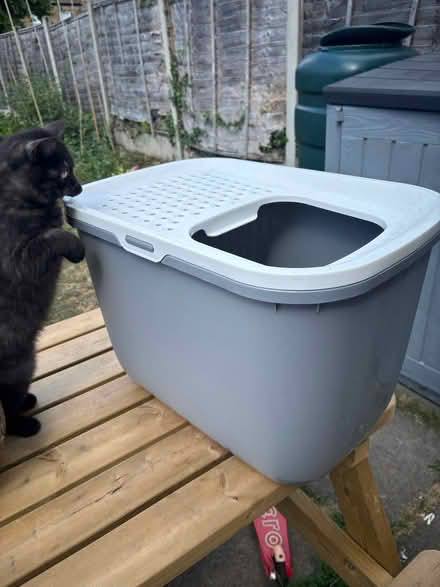 Photo of free Cats toilet (Catford SE6) #1