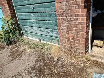 Photo of free Chicken Wire Pieces (Bratton) #1