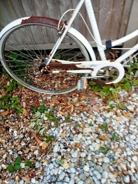 Photo of free Ladies bicycle needs work (Polegate BN26) #4