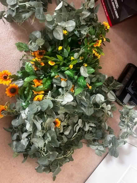 Photo of free Fake foliage & flowers (BN16 3NH) #2