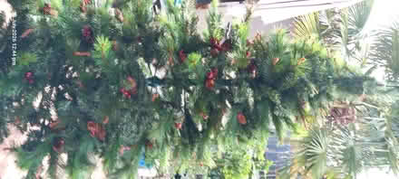 Photo of free Artificial 6ft Christmas Tree (Shiphay TQ2) #2
