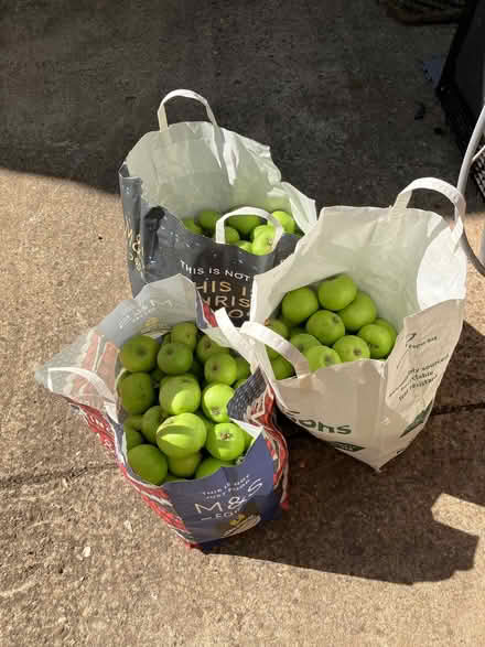 Photo of free Cooking apples (Nest Farm area NN8) #1