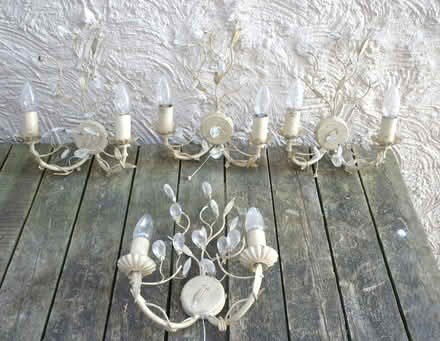 Photo of free Ceiling and Wall Lights (Cloakham EX13) #1