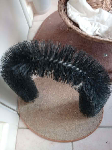 Photo of free Cat archway toy (Lychpit RG24) #1