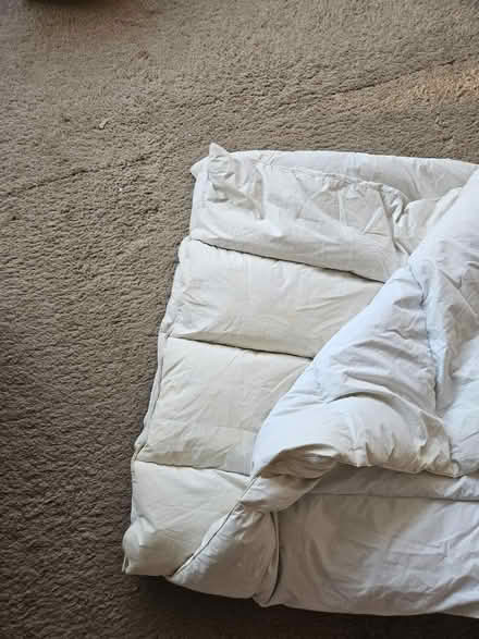 Photo of free 11.5 tog double duvet (Riddlesdown CR8) #2