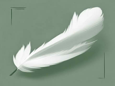 Photo of free Feather Board 3 Sheets (Leigh-on-Sea SS9) #1