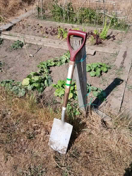 Photo of free Spade, wooden handle (Southbourne BH6) #1