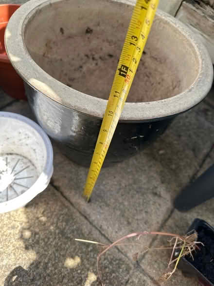 Photo of free Mix of plant pots&wild strawberry (CO4 9 Colchester) #2