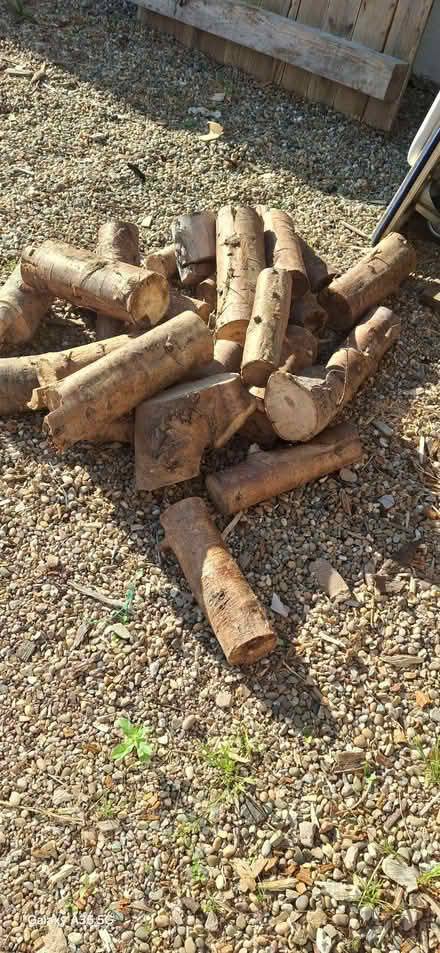 Photo of Tree Logs (Chapel-en-le-Frith SK23) #1