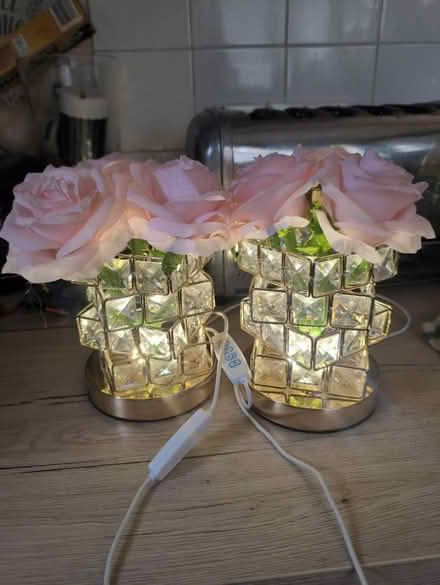 Photo of free 2 lamps (Erith DA8) #1