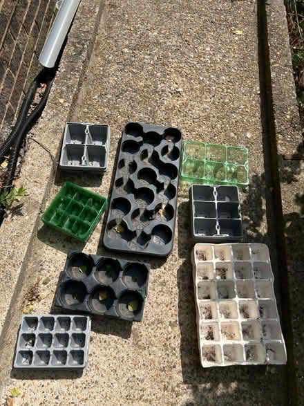 Photo of free Plant pots and seed trays (ME15 8) #3