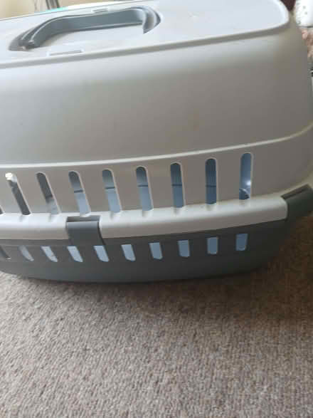 Photo of free Cat carrier (West Hill TN34) #3