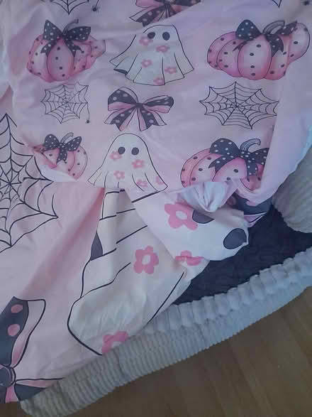 Photo of free Duvet cover (Basingstoke RG21) #1