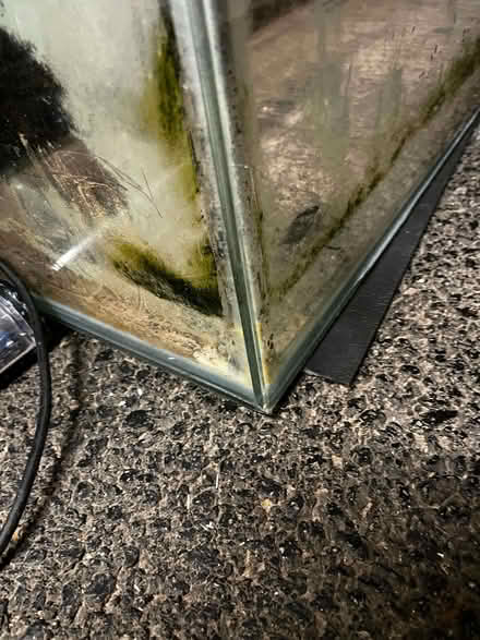 Photo of free 220 litre fish tank + accessories (Middlebrook BL6) #3