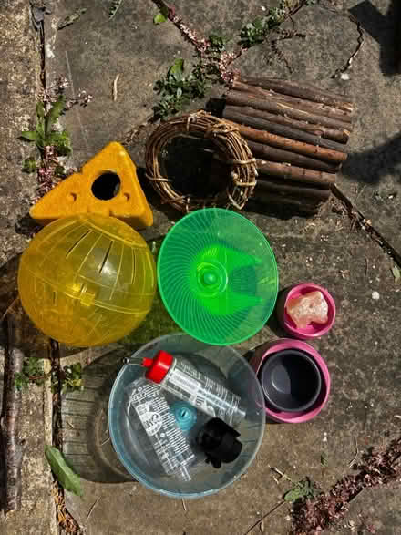Photo of free Hamster cage and accessories (Broadstairs CT10) #3