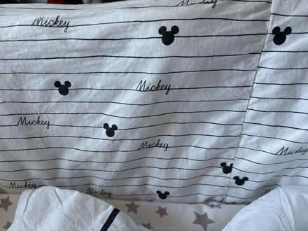 Photo of free Baby Moses basket and stand (Eynesbury PE19) #2