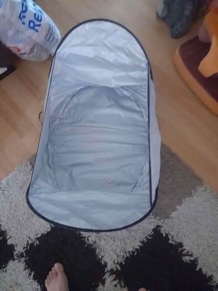 Photo of free Pet grooming (Basingstoke RG21) #1