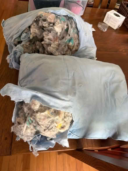 Photo of free Stuffing from two damaged pillows (Metuchen NJ) #1