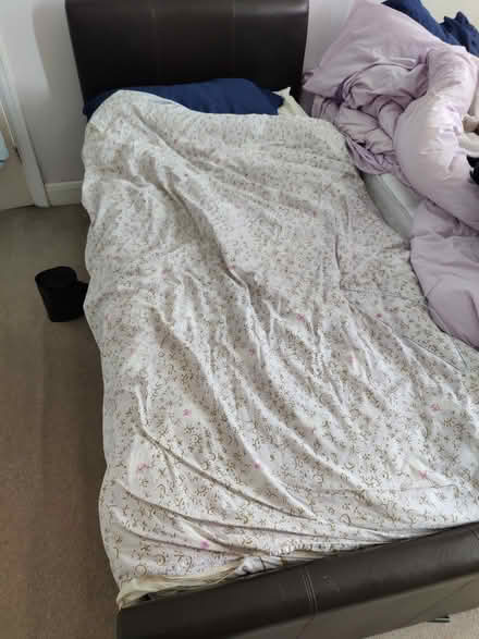 Photo of free Single bed with extra bed under (Hendon) #1
