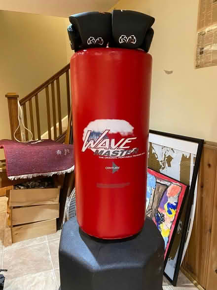 Photo of free free-standing boxing bag (Westboro (near MEC)) #2